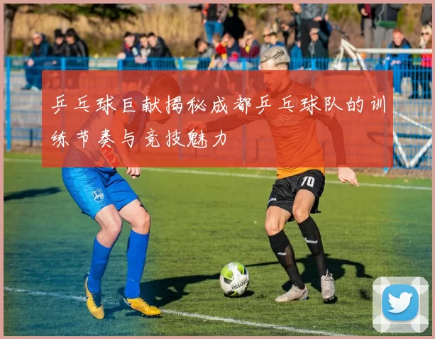 乒乓球巨献揭秘成都乒乓球队的训练节奏与竞技魅力