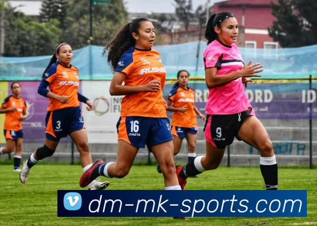 MK体育发展历程